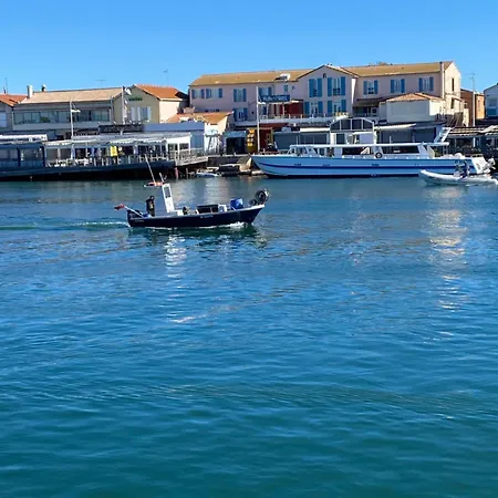 V0861 Avec Piscine Privée Pour 8 à 10 Personnes Agde