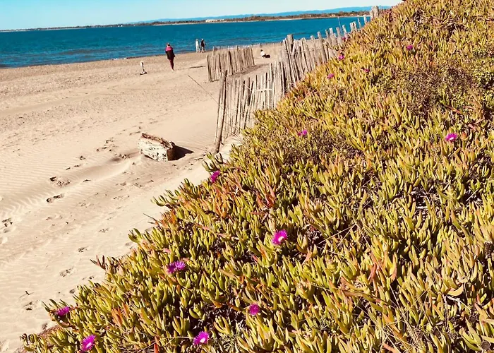 Willa V0861 Avec Piscine Privee Pour 8 A 10 Personnes